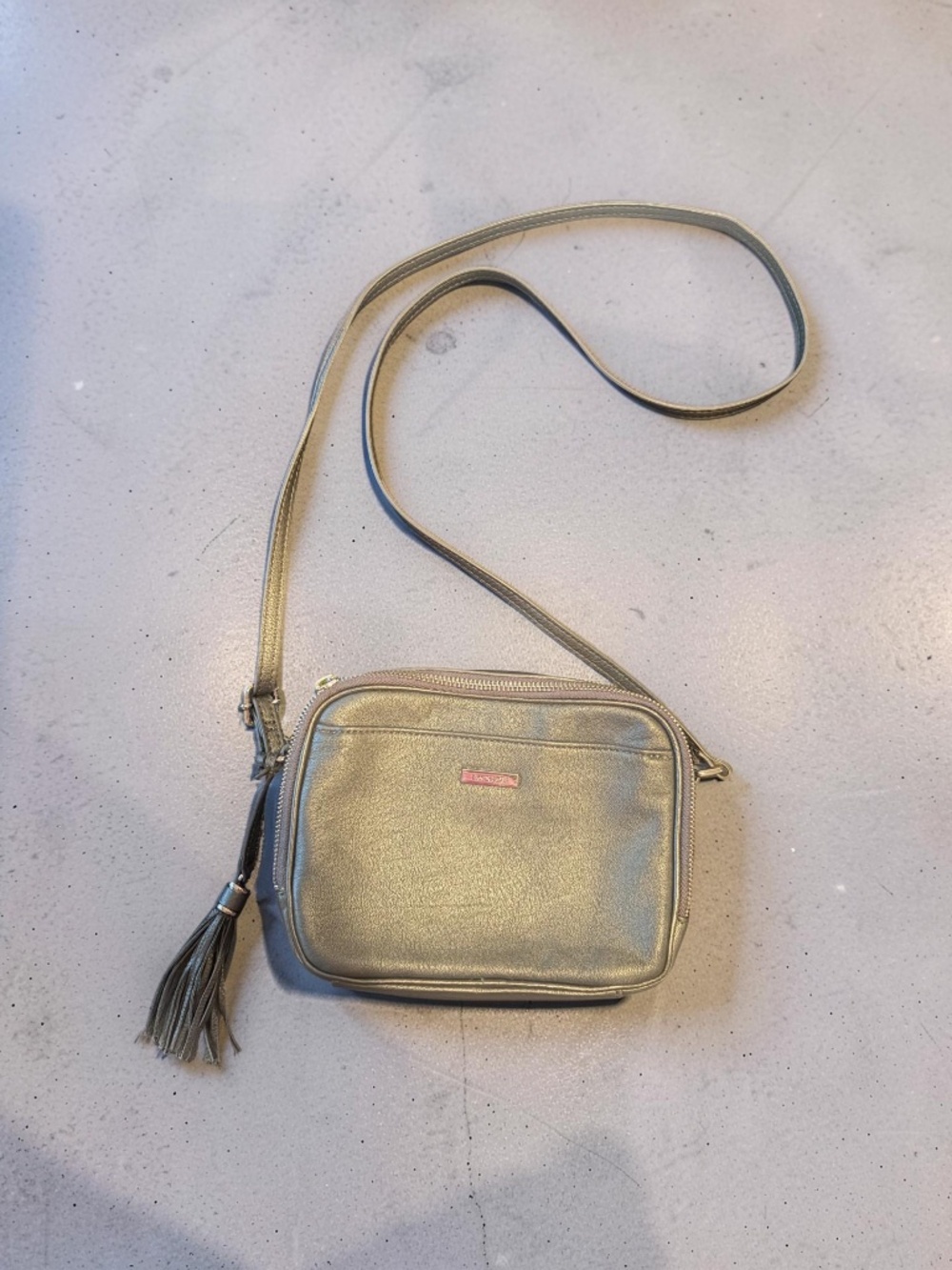 Danier 100% Metallic Leather Crossbody with Tassel - Picture 2 of 5